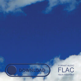 Over the Sky